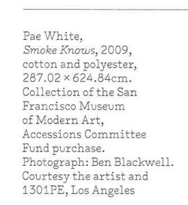 Smoke Knows by Pae White