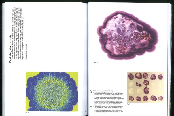 Volume 35 (Spring 2013) Simon Park