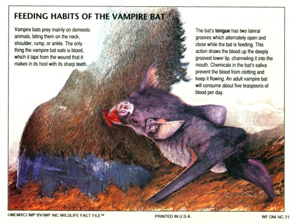 BookScanCenter_12 - Copy