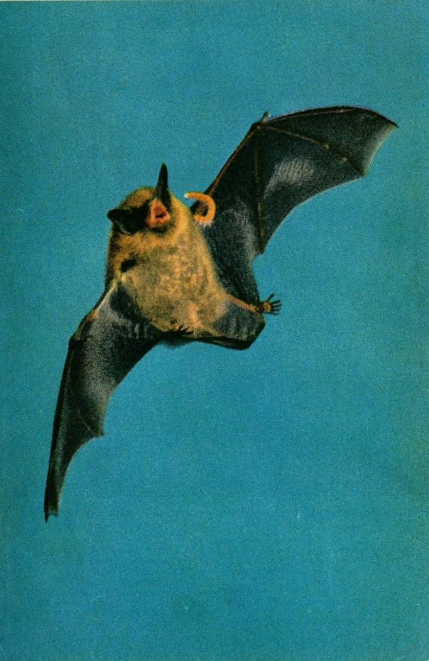 BookScanCenter_14 - Copy