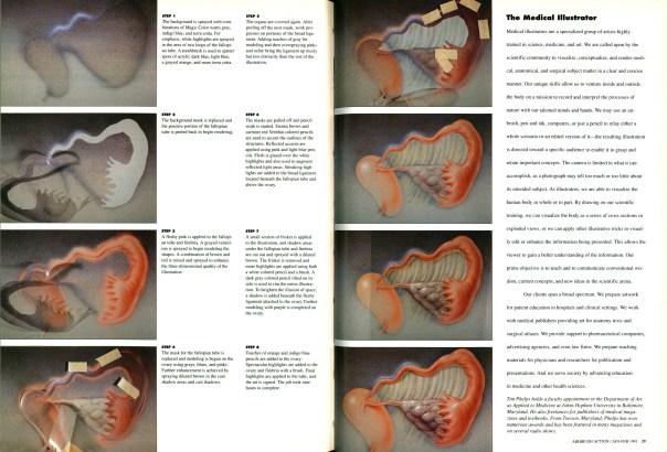 Female Reproductive System Illustration Airbrush Action. January-February 1991.