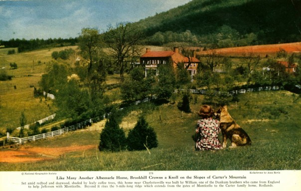 BookScanCenter_17 copy