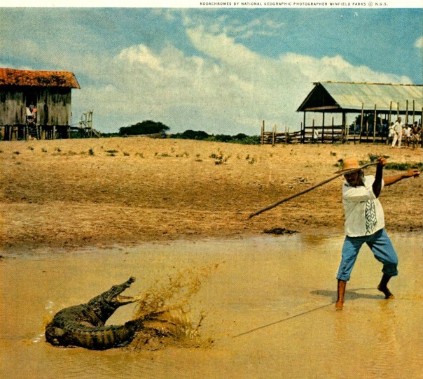 National Geographic. Brazil.  Photo by Winfield Parks.
